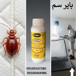 ساس در خانه؛ معضلی پنهان اما خطرناک